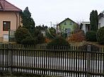 Třibřichy